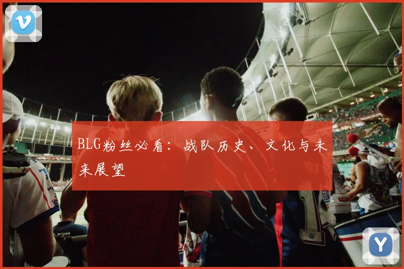 BLG粉丝必看：战队历史、文化与未来展望