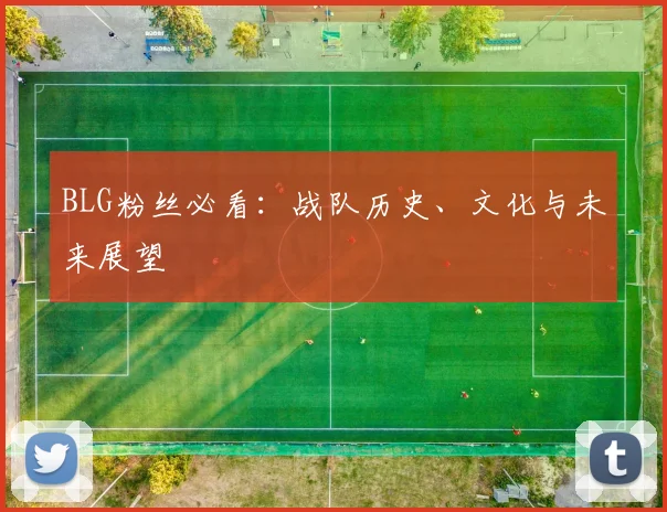 BLG粉丝必看：战队历史、文化与未来展望